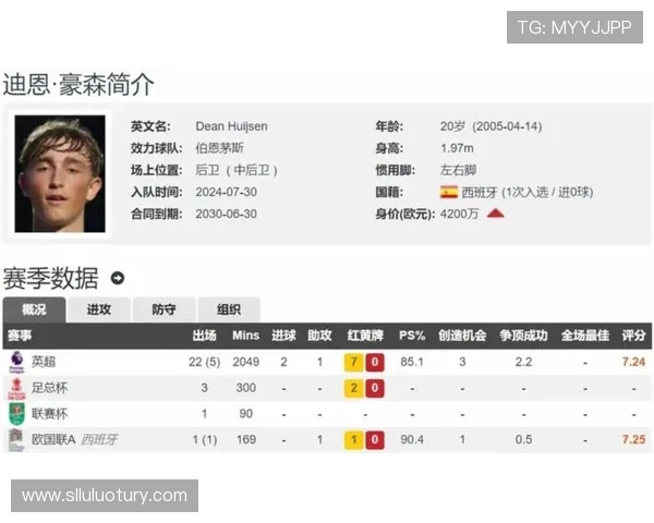 英超球队的市场身价统计与对比